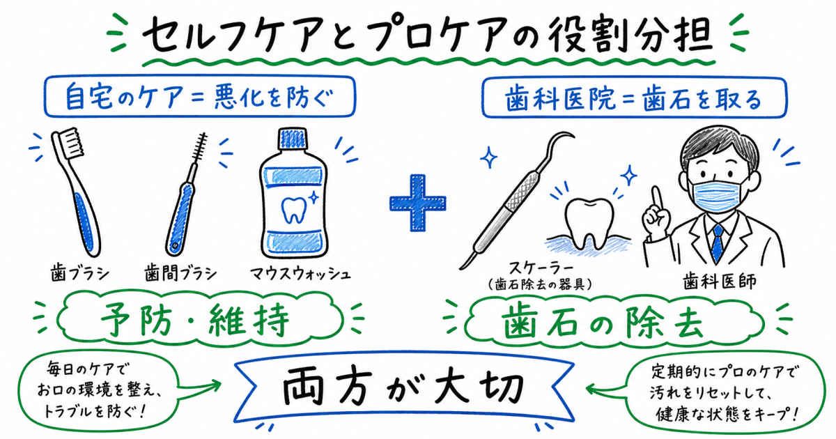 【1分で判定】自宅で今すぐできる歯周病初期症状セルフチェック