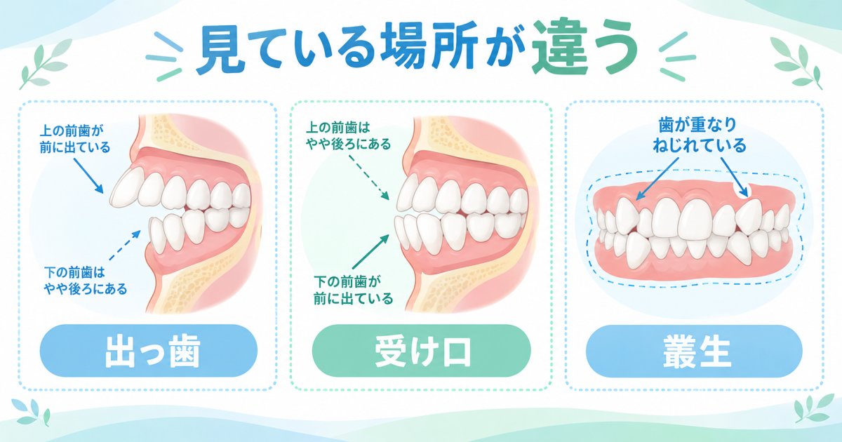 出っ歯・受け口・叢生は、見ている場所が違う